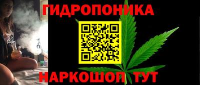 дживик Ливны