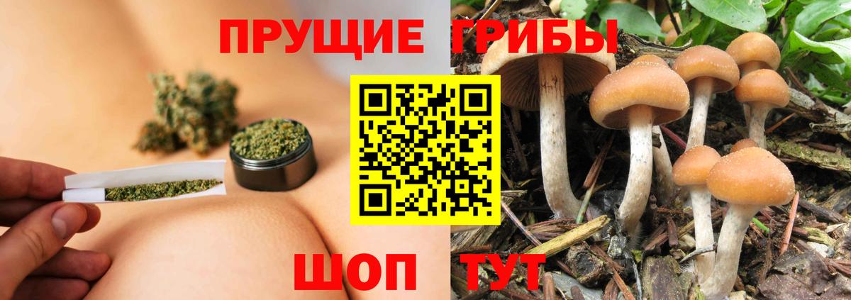 Псилоцибиновые грибы MAGIC MUSHROOMS Благовещенск